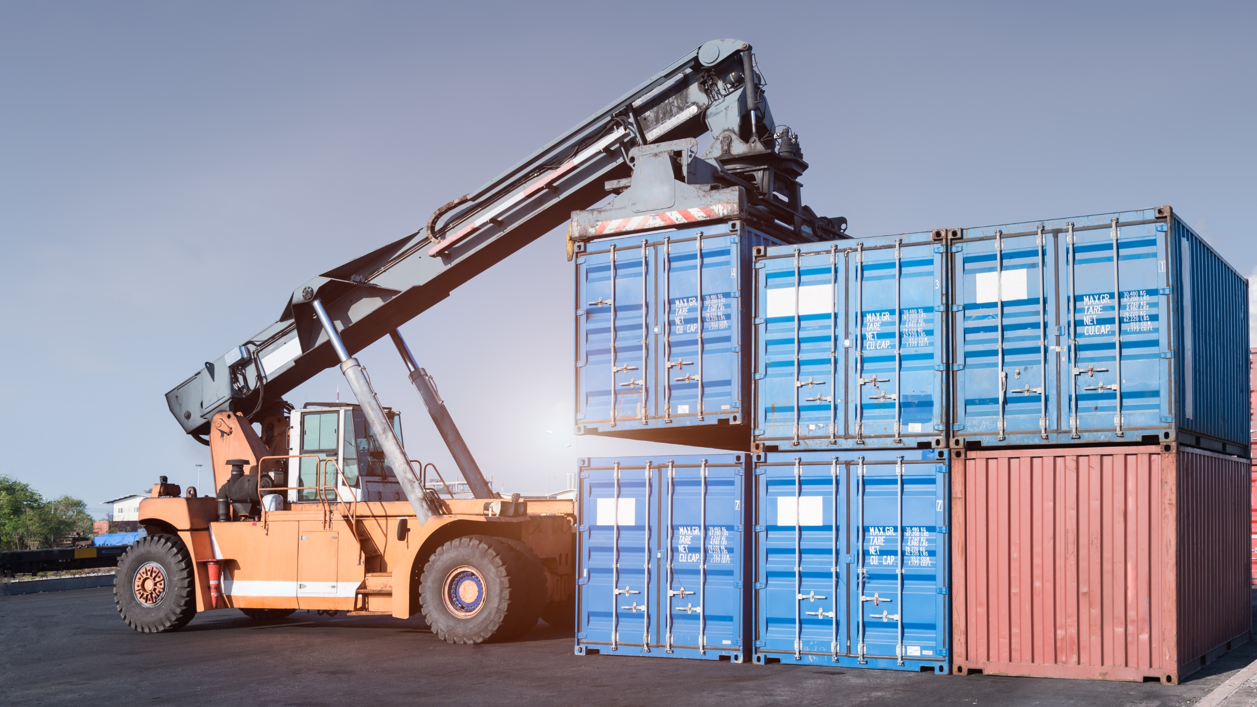 Port with cranes and container ships